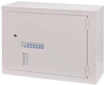 Lakeside High Security Storage Cabinet 